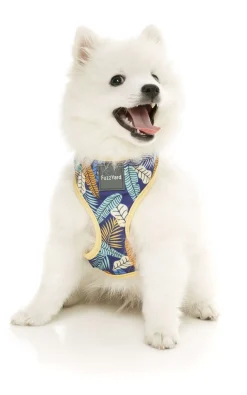 FuzzYard Mahalo Harness
