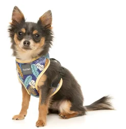 FuzzYard Mahalo Harness