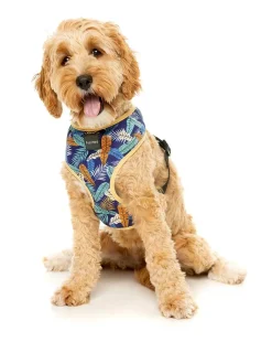 FuzzYard Mahalo Harness