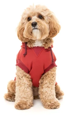 FuzzYard Maroon Street Hoodie