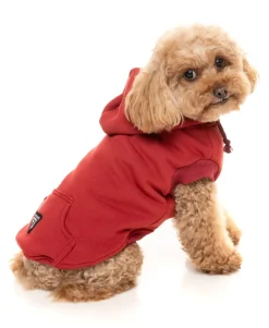 FuzzYard Maroon Street Hoodie