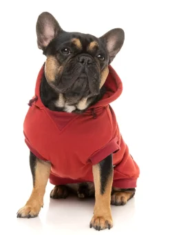 FuzzYard Maroon Street Hoodie