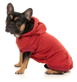 FuzzYard Maroon Street Hoodie