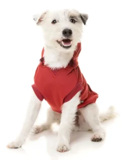 FuzzYard Maroon Street Hoodie