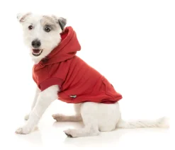 FuzzYard Maroon Street Hoodie