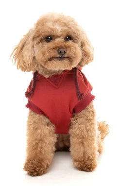 FuzzYard Maroon Street Hoodie