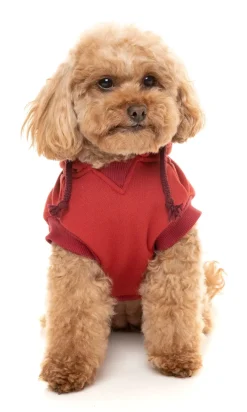 FuzzYard Maroon Street Hoodie