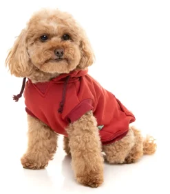 FuzzYard Maroon Street Hoodie