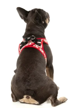 FuzzYard Meat Heads - Dog Step In Harness