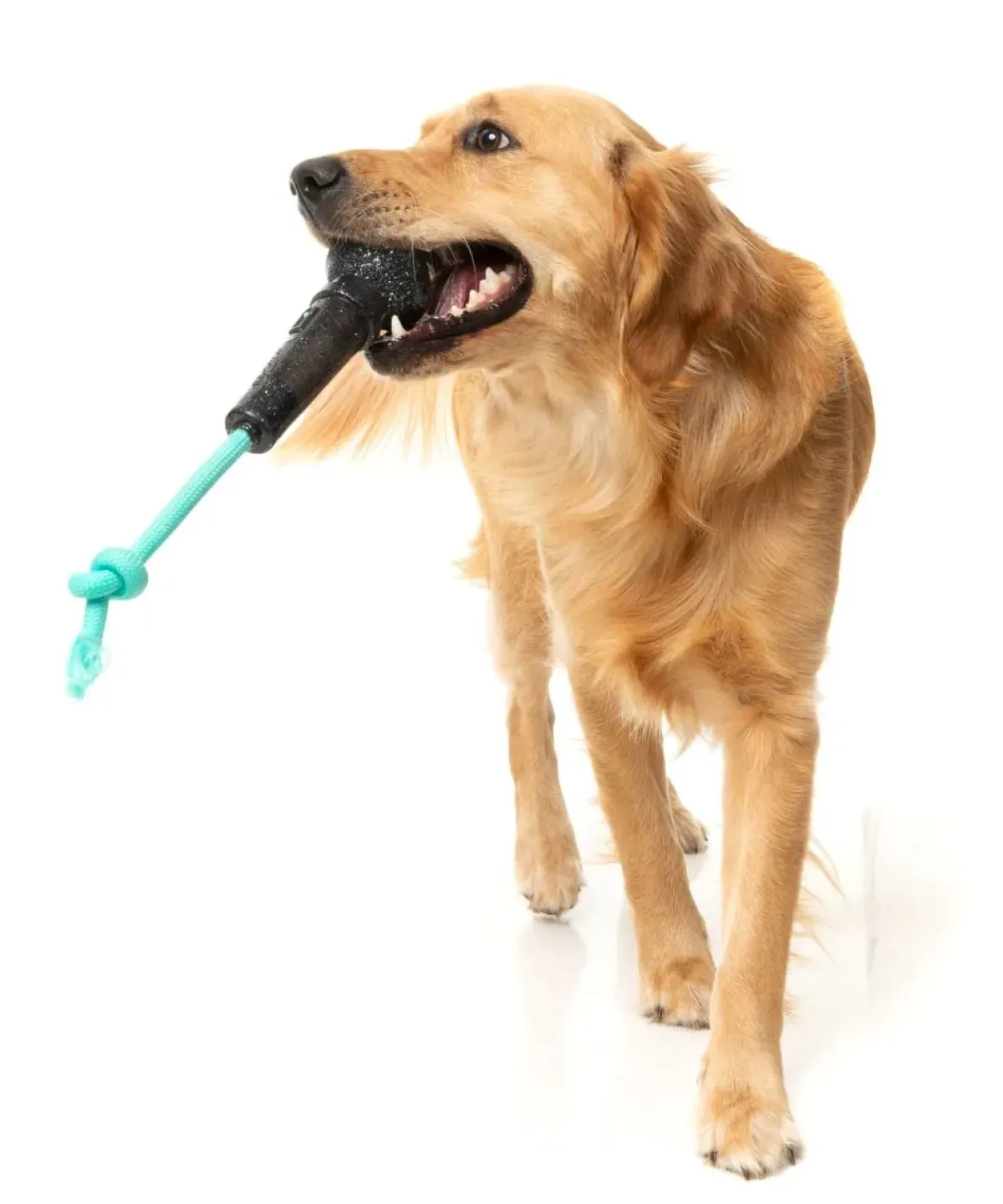 FuzzYard Mic Drop - Interactive Chew Toy