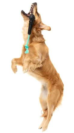 FuzzYard Mic Drop - Interactive Chew Toy