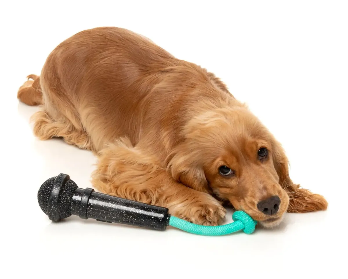 FuzzYard Mic Drop - Interactive Chew Toy