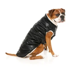 FuzzYard Milano Jacket - Black