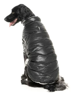 FuzzYard Milano Jacket - Black