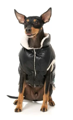 FuzzYard Milano Jacket - Black