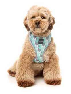 FuzzYard Mint Fizz - Dog Harness