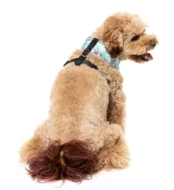 FuzzYard Mint Fizz - Dog Harness