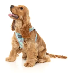 FuzzYard Mint Fizz - Dog Step In Harness