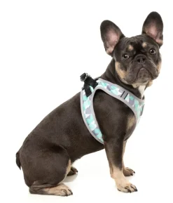 FuzzYard Mint Fizz - Dog Step In Harness