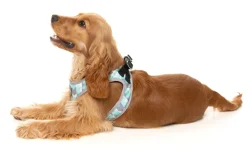 FuzzYard Mint Fizz - Dog Step In Harness
