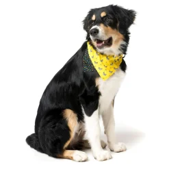 FuzzYard Monkey Mania Pet Bandana