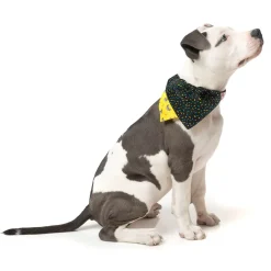 FuzzYard Monkey Mania Pet Bandana