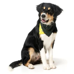 FuzzYard Monkey Mania Pet Bandana
