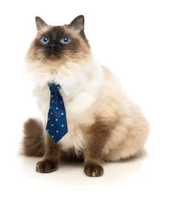 FuzzYard Mr. Carrington Necktie