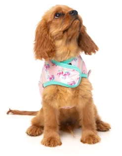 FuzzYard Mr Sparkles Wrap Vest