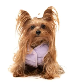 FuzzYard Nara 25 Jacket - Blue