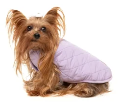 FuzzYard Nara 25 Jacket - Blue