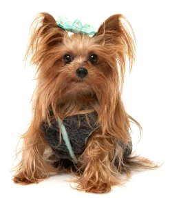 FuzzYard Nara 25 Jacket - Grey