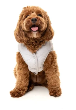 FuzzYard Nara 25 Jacket - Pink