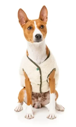 FuzzYard Nara Jacket - Beige