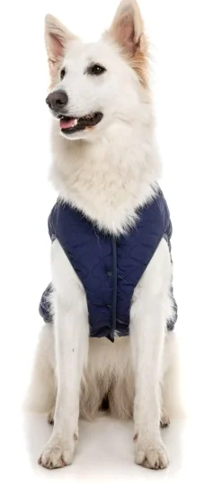 FuzzYard Nara Jacket - Dark Moss