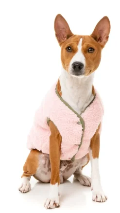 FuzzYard Nara Jacket - Pink