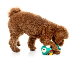 FuzzYard Neck Minnits - Loch Neck Monster