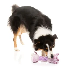 FuzzYard Neck Minnits - Neckita The Llama