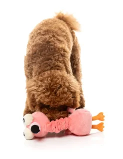 FuzzYard Neck Minnits - Neckole The Flamingo