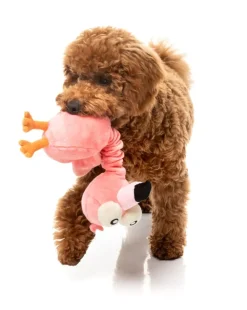 FuzzYard Neck Minnits - Neckole The Flamingo