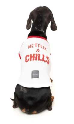 FuzzYard Netflix & Chills - T-Shirt