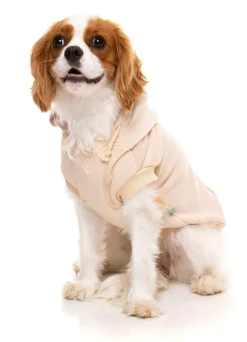 FuzzYard Nude Street Hoodie