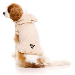 FuzzYard Nude Street Hoodie