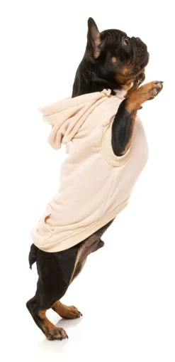 FuzzYard Nude Street Hoodie