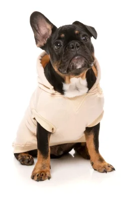 FuzzYard Nude Street Hoodie