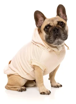 FuzzYard Nude Street Hoodie