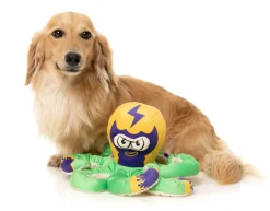 FuzzYard Octo-Posse Dog Toy - Octo the Outrageous