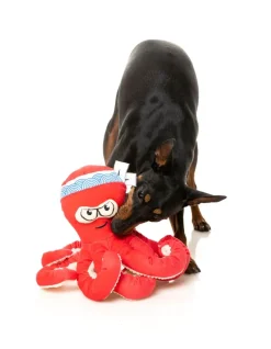 FuzzYard Octo-Posse Dog Toy - Takoyaki