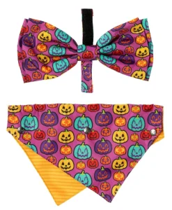 FuzzYard Oh My Gourd! - Dog 2 Pack