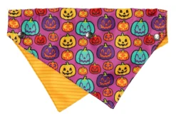 FuzzYard Oh My Gourd! - Dog 2 Pack